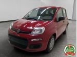 FIAT Panda 1.0 FireFly S&S Hybrid rif. 23447554