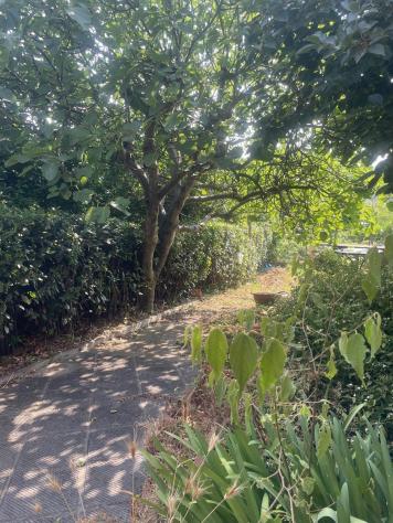 Casa singola in vendita a Montopoli in Val d'Arno 300 mq Rif: 1332748 - Foto 3