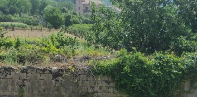 Immobile in asta di 138 m² con più di 5 locali in vendita a Mercato San Severino - Foto 3