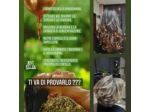 L'Immagine Spa per Capelli