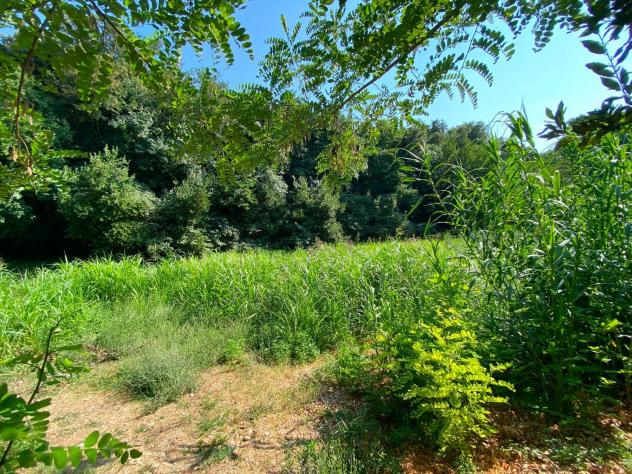 Terreno agricolo in vendita a Buti 1000 mq Rif: 1427835 - Foto 6