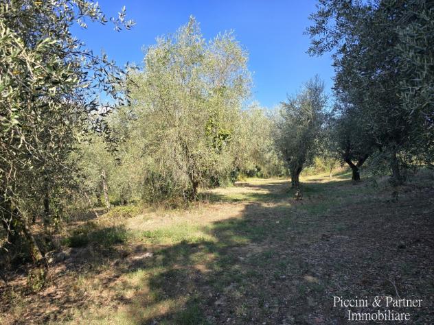 Casale in vendita a Castiglione del Lago - Foto 2