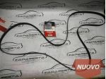Cinghia Servizi Ford Ranger 2.2 TDCI 1720651