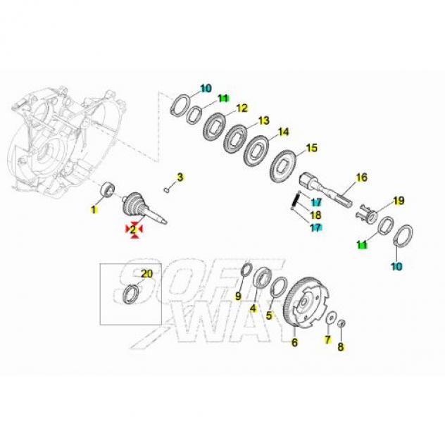 Primario Ape 50 da 9 15 21 26 denti - Foto 4