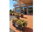 AGENTE IMMOBILIARE con o senza esperienza