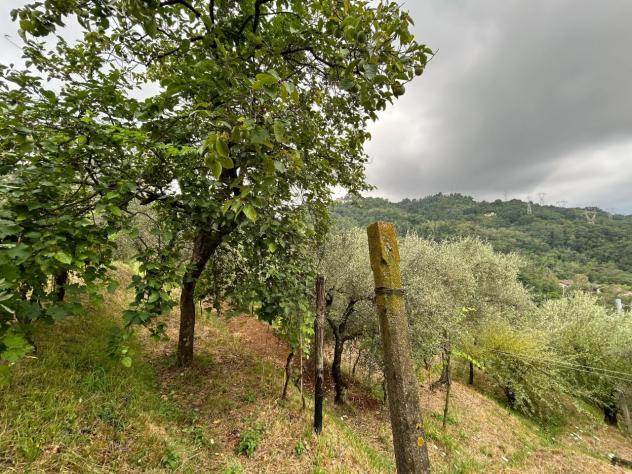 Agricolo in vendita a Arcola - Foto 13