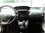 FORD Kuga 2.0 TDCI 150 CV S&S 4WD Powershift ST-Line rif. 23895319