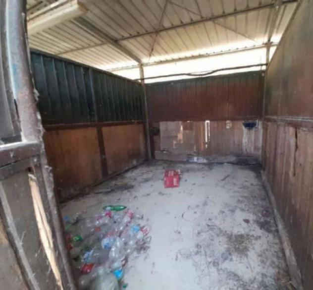 Immobile in asta di 188615 m² in vendita a Castelnuovo Berardenga - Foto 16