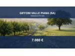 Immobile in asta di 29371 m² in vendita a Giffoni Valle Piana