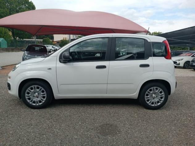 FIAT Panda 1.0 FireFly S&S Hybrid Icon rif. 23724266 - Foto 4