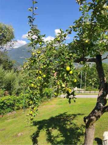 V000565 - ESCLUSIVA TENUTA CON TERRENO - POTENZIALE B&B - Foto 8