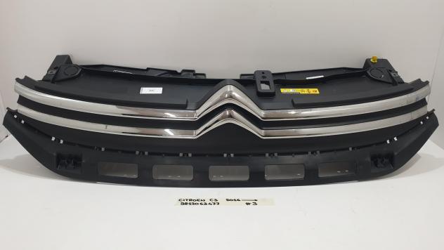 GRIGLIA ANTERIORE CITROEN C3 Serie 9812063477 (16)