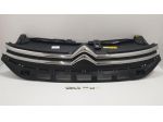GRIGLIA ANTERIORE CITROEN C3 Serie 9812063477 (16)