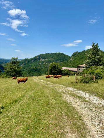 Casale in vendita a Bruscoli - Firenzuola 400 mq Rif: 1346058 - Foto 4
