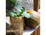 B&B Baita Bertolini