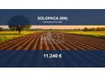 Immobile in asta di 5730 m² in vendita a Solopaca