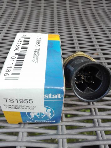 Termocontatto - bulbo TS1955 nuovo - Foto 2