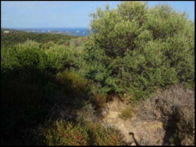 Immobile in asta di 2270 m² in vendita a Olbia - Foto 9