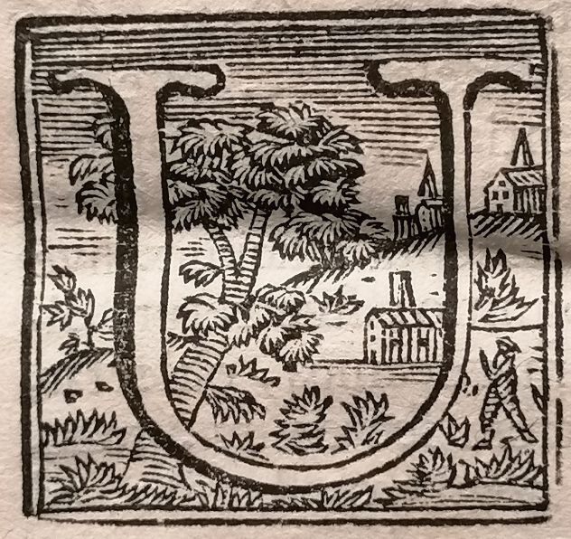 (Importante Settecentina Lucca/Pisa)  ALEXANDRI POLITI…ORATIONES XII AD ACADEMIA - Foto 5