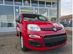 Fiat Panda KM/0 HYBRID 5 POSTI, SENSORI DI PARK, NESSUN OBBLIGO FINANZIARIO !!