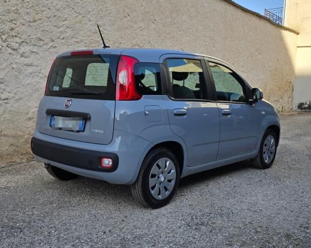 Fiat Panda HYBRID 1.0 FireFly 70CV S&S - Foto 3