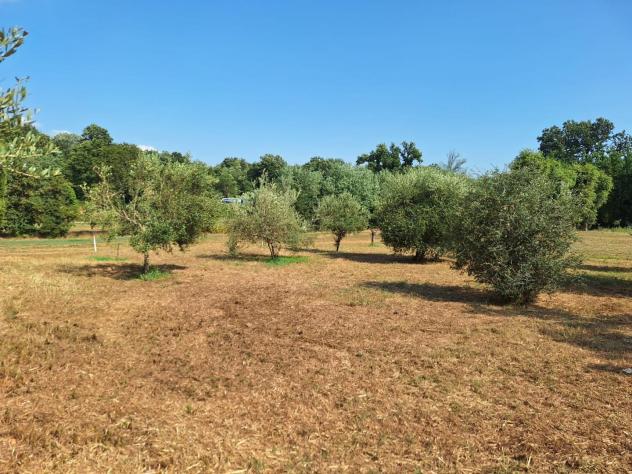 Fienile in vendita a Orentano - Castelfranco di Sotto 115 mq Rif: 1279967 - Foto 8
