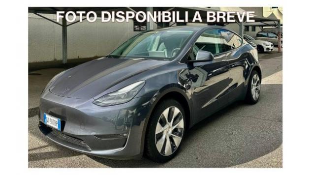 TESLA Model Y AWD Long Range  rif. 24193825