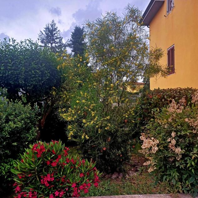 Casa singola in vendita a Staffoli - Santa Croce sull'Arno 280 mq Rif: 1403031 - Foto 2