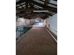 Ufficio in affitto a Pisa 200 mq  Rif: 1237470