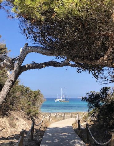 FORMENTERA : Cerchiamo Cuoco/a Paninaro/a per la stagione estiva 2026