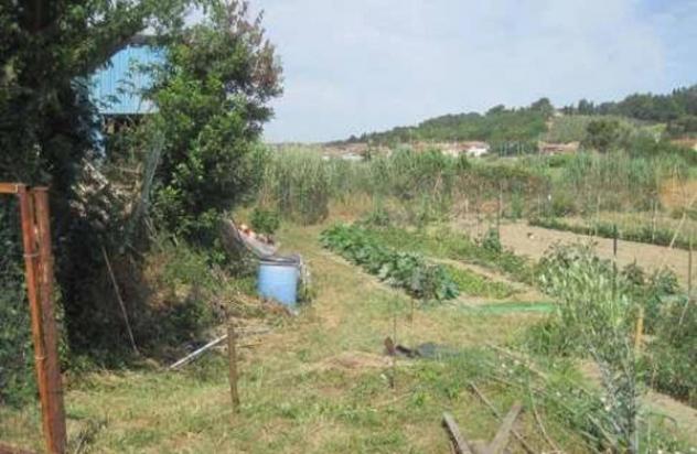 Immobile in asta di 6782 m² in vendita a Pesaro - Foto 4