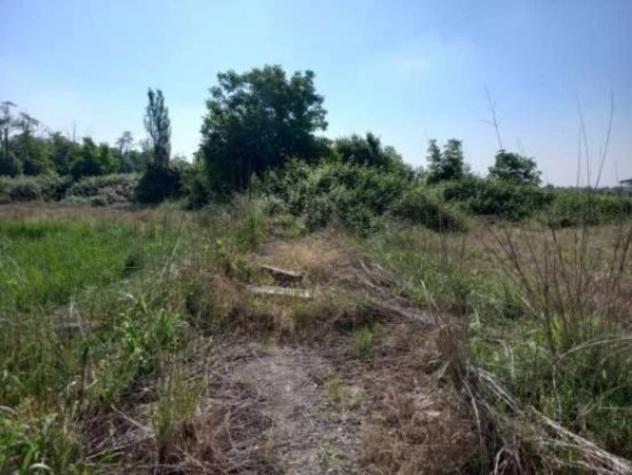 Immobile in asta di 4922 m² in vendita a Sant'Ilario d'Enza - Foto 7