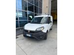 Fiat Doblo Dobl1.3 MJT S&S PC-TN Cargo Business