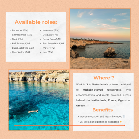 Work as a Waiter with accommodation provided in a Hotel in Ireland, Netherlands - Foto 2