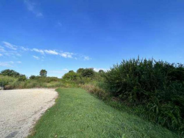 Immobile in asta di 14236 m² in vendita a Isola della Scala - Foto 2