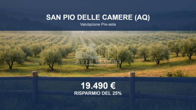 Immobile in asta di 7194 m² in vendita a San Pio delle Camere