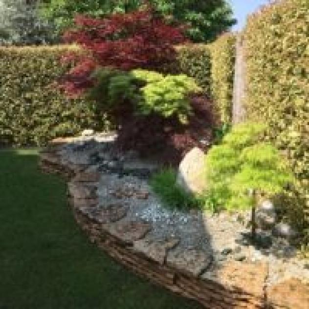New Garden Service - Foto 4