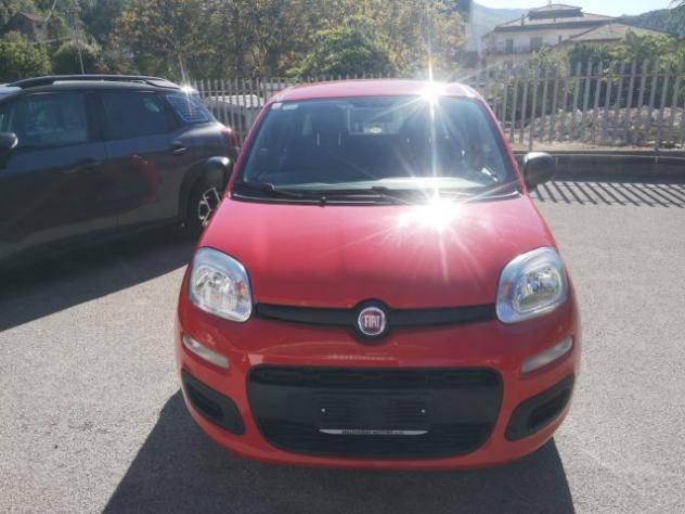 FIAT Panda 1.2 Easy rif. 24051404 - Foto 4