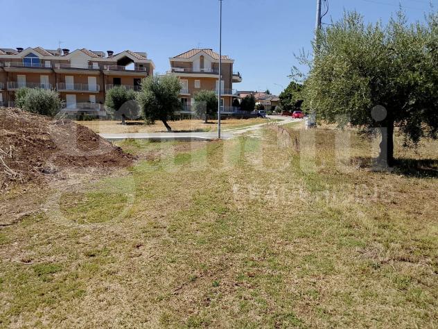 Terreno Residenziale - Sant'Omero . Rif.: Cod. rif A142VRG - Foto 4