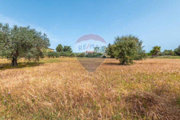 Casa Indipendente in vendita a Caltagirone, Santo Pietro - Foto 13