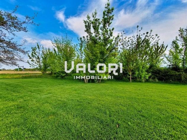 GRANDE LOTTO EDIFICABILE IMMERSO NEL VERDE CON ELEVATA CUBATURA E TOTALE INDIPENDENZA - Foto 3