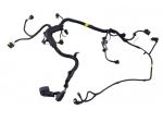 CABLAGGIO ELETTRICO MOTORE FIAT Panda 3° Serie 55268441 Benzina 1200 (12)