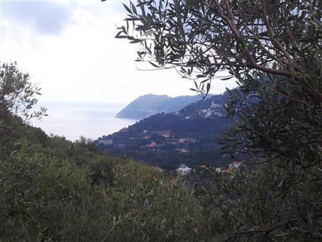 Alassio, terreno vista mare con progetto per tre appartamenti. - Foto 2