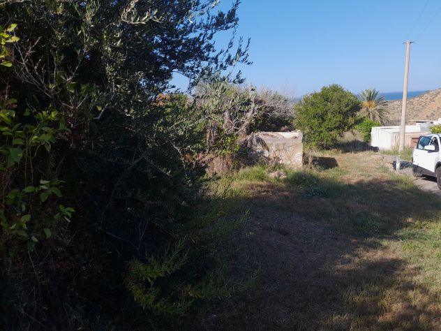 10 V041 Podere con rudere vista mare - Un'Occasione Imperdibile! - Foto 9