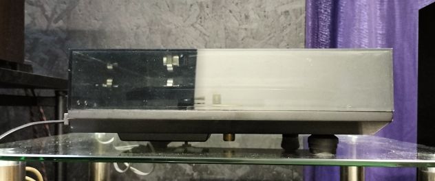 REGA P3 + STANTON 681EEE giradischi con testina. - Foto 3