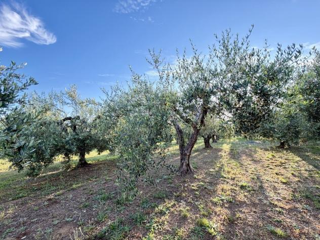 Magazzino in vendita a Rosignano Marittimo - Foto 12