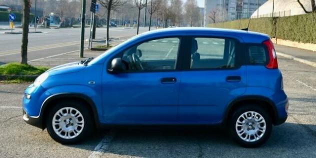Fiat Panda 1.0 FireFly S&S Hybrid Pandina - Foto 8