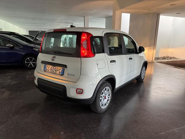 FIAT Panda Panda 1.0 firefly hybrid s&s 70cv 5p.ti - Foto 5