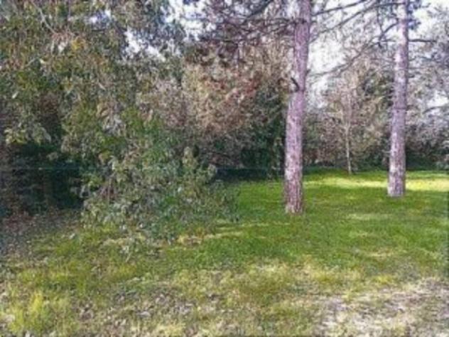 Immobile in asta di 287 m² con più di 5 locali e box auto in vendita a Ariano nel Polesine - Foto 9