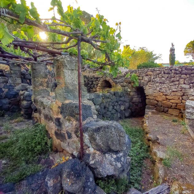 Altro in vendita a Pantelleria - Foto 8